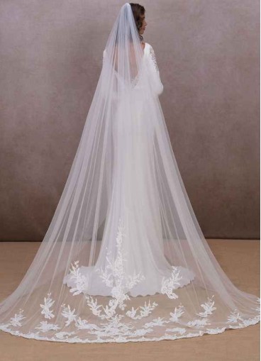 Stenaus Charity Veil