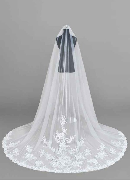 Stenaus Charity Veil Stenaus Charity Veil