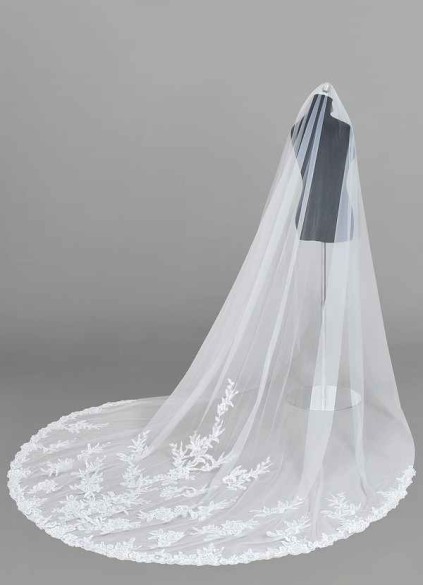 Stenaus Charity Veil Stenaus Charity Veil