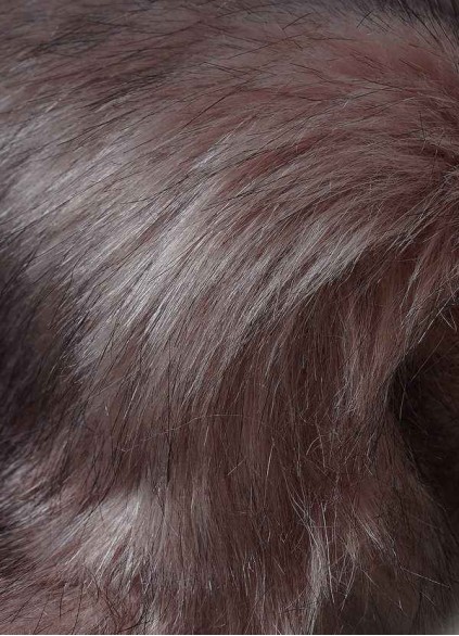 Stenaus Sincerity Faux Fur Wrap Stenaus Sincerity Faux Fur Wrap