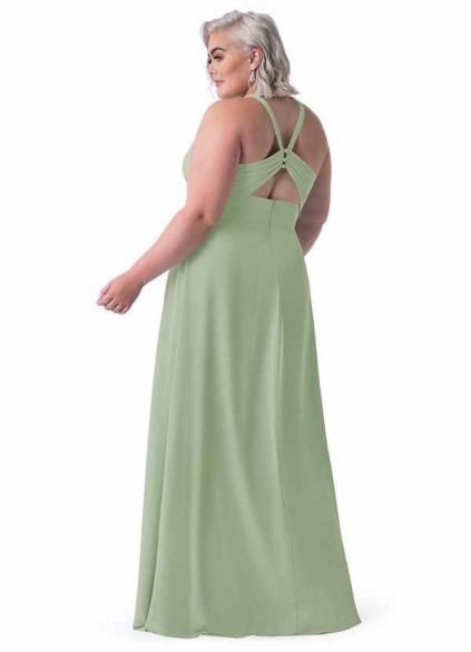 Stenaus Alani Stenaus Alani