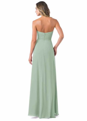 Stenaus Verde