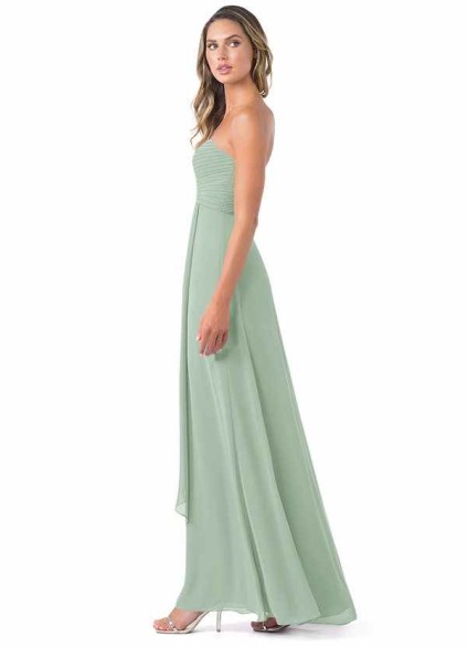 Stenaus Verde Stenaus Verde
