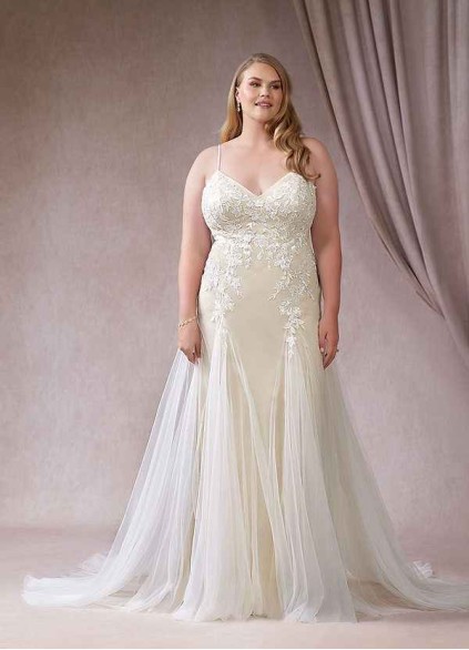 Stenaus Rosana BG Stenaus Rosana BG