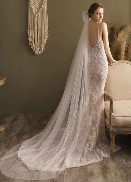 Regina Veil Regina Veil
