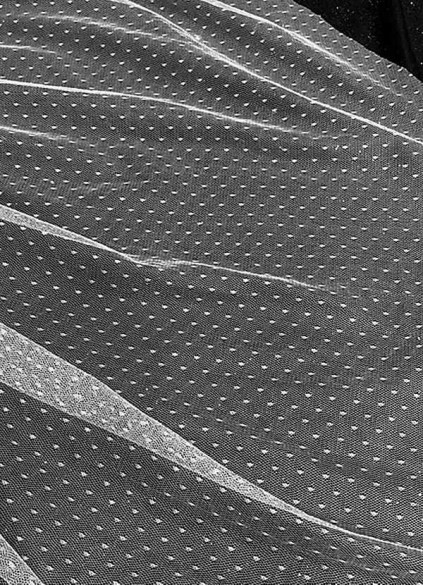 Regina Veil Regina Veil