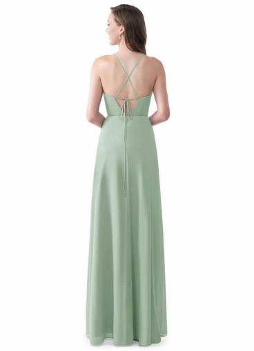 Stenaus Ariella